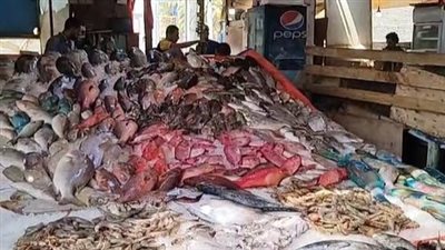 معهد علوم البحار: الاستزراع السمكي سيواجه مشكلة خطيرة بسبب التغيرات المناخية