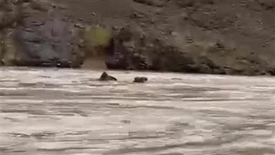 هل تتأثر مصر بسيول السعودية؟.. الأرصاد تجيب