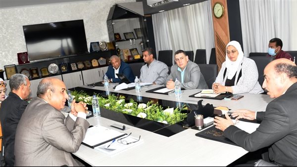 محافظ أسوان