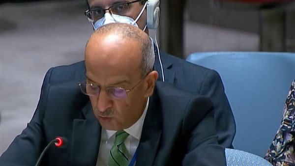 مندوب مصر في الأمم