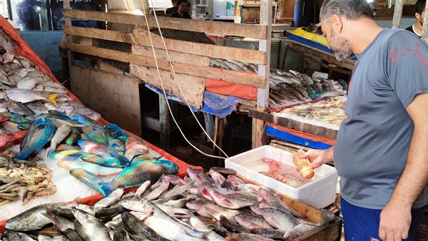 سوق السمك في الغردقة