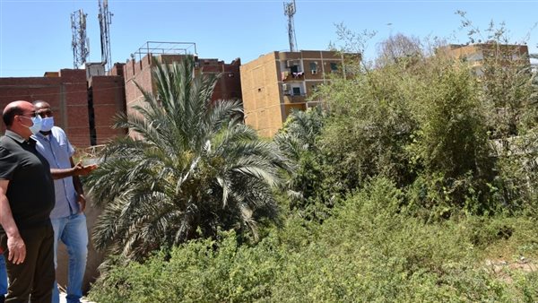 محافظ أسوان