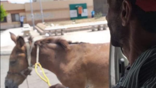 الصورة المنشورة علي