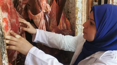 ضبط 201 كجم لحوم وأسماك غير صالحة للاستهلاك الآدمي بالغربية 