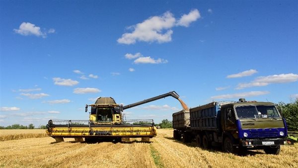 الحبوب الأوركرانية