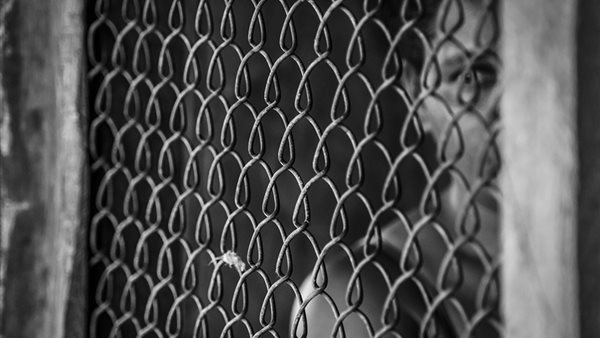 متهمين بالإتجار بالبشر