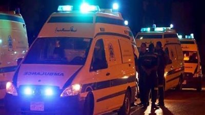 إصابة شخصين بفرد خرطوش في مشاجرة بالقليوبية 