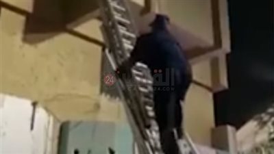 لفتة إنسانية.. الحماية المدنية تنقذ قطة عالقة بشرفة إحدى الشقق بالمنيا