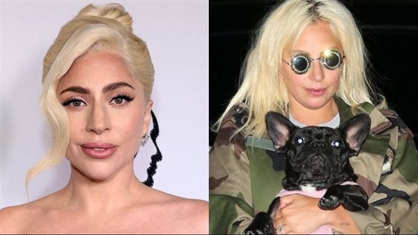 القصة الكاملة لـ