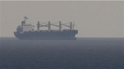 قرار جديد من هيئة الرقابة البيطرية الروسية بشأن سفينة قمح مصرية احتجزتها