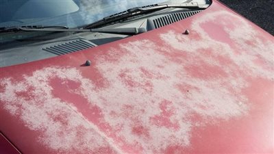 لابد من تجنبها.. 6 أفعال بسيطة يمكنها إتلاف طلاء السيارة