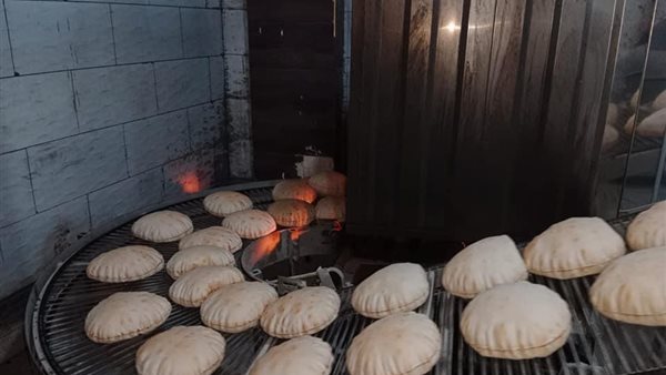 جانب من الحملة