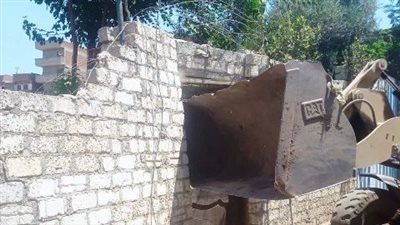 إزالة 115 تعدٍ على الزراعات وأراضي أملاك الدولة بالشرقية | صور