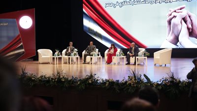 جلسة نقاشية ساخنة بين المصريين بالخارج ووزيرة الهجرة.. والأخيرة: نضع كافة مطالبكم على رأس الوزارة