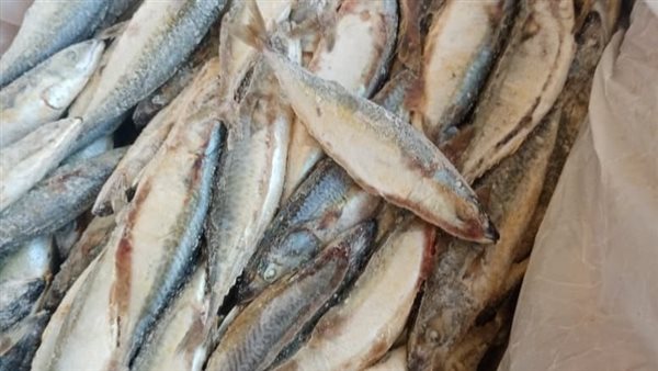 سمك غير صالح للإستهلاك