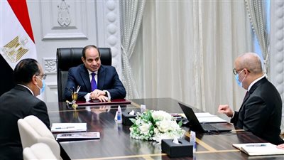 السيسي يوجه بتكثيف مشروعات التدريب الحرفي والفني للشباب في القرى