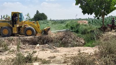 تنفيذ 15 قرار إزالة لتعديات على أراضي الدولة بالإسكندرية