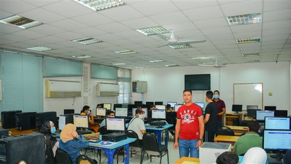 معامل التنسيق الإلكترونى