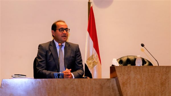 نائب وزير المالية