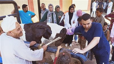 اليوم.. قافلة بيطرية مجانية بقرية المحارزة في قنا 