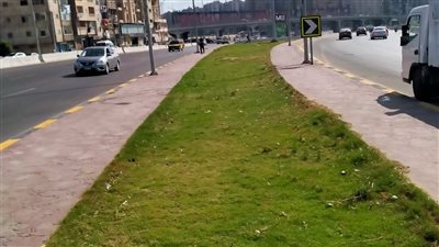 ضمن مبادرة الـ 100 مليون.. تشجير امتداد محور المحمودية بالإسكندرية