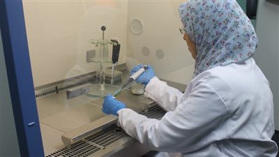 الزراعة تعلن تجديد الاعتماد الدولي لمعامل مشروع حصر ومكافحة مرض العفن البني في البطاطس