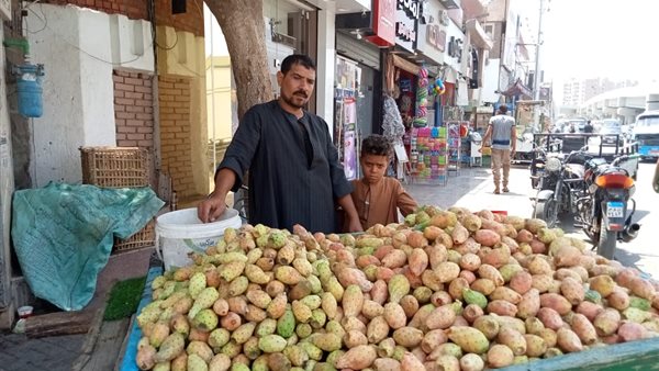 بائع التين الشوكي