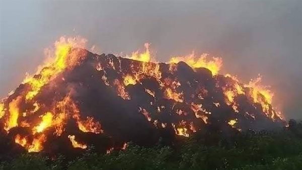 حرائق الجزائر 