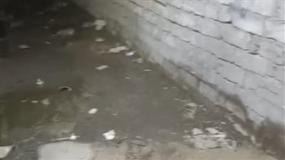 المياه بتظهر من تحت السيراميك.. استغاثة أهالي قرية طحا البيشة ببني سويف: بيوتنا هتقع علينا | بث مباشر