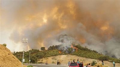 الجزائر تعلن السيطرة على حرائق الغابات شرقي البلاد