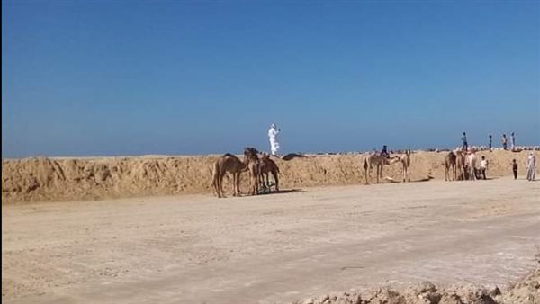 مضمار الهجن بالعريش