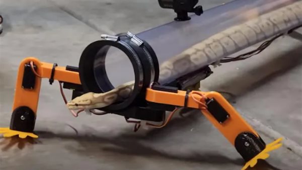 ثعبان بأرجل آلية