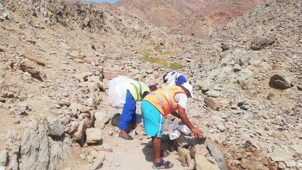 حماية النظم البيئية