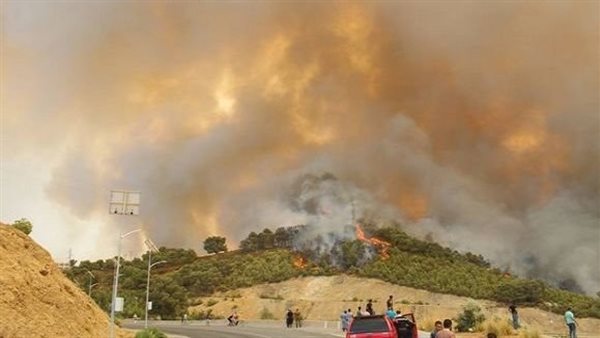 حرائق غابات في الجزائر