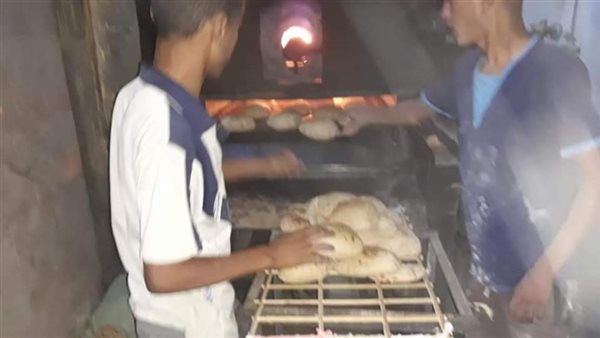 حملات تفتيشية بالمنيا