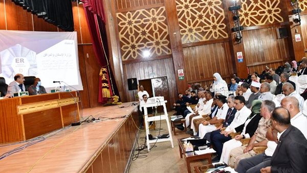 محافظ أسوان