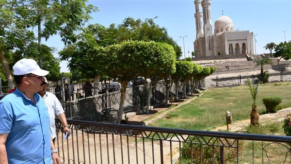 محافظ أسوان