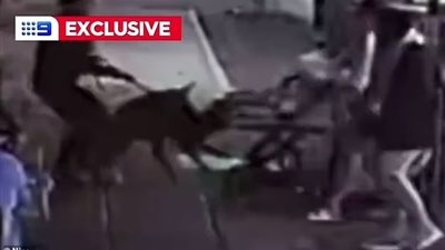 لحظة وحشية..هجوم كلب على سيدة حامل محاولًا تمزيق جروها الصغير |فيديو