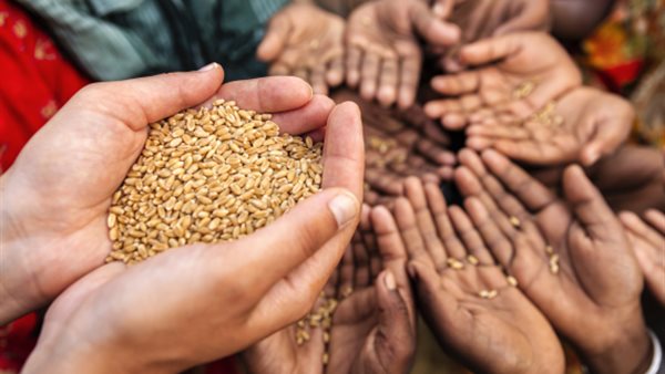 نقص الغذاء حول العالم