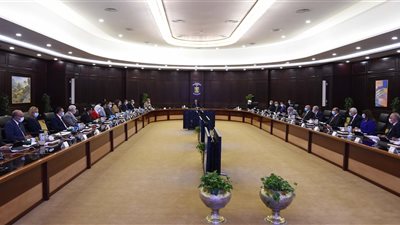 الترشيد الدولاري وطرح أسهم شركات الدولة بالبورصة.. لجنة حكومية عليا لمتابعة حزمة تنشيط الأداء الاقتصادي 