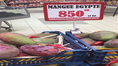 سفير مصر في جيبوتي يعلن وصول المانجو المصري لأسواقها لأول مرة | صور