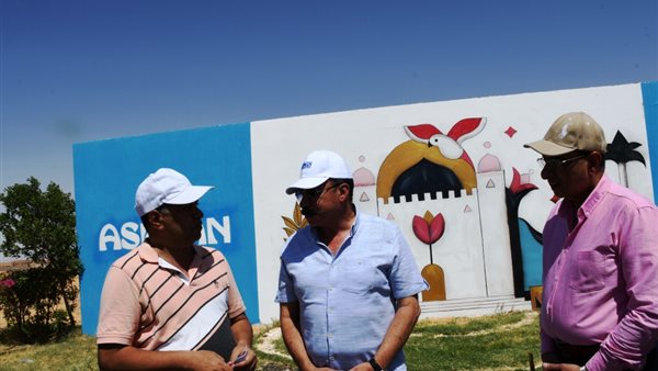 محافظ أسوان