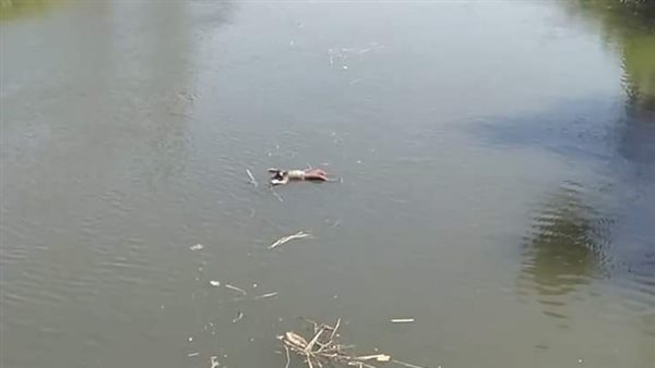 واقعة الغرق بسوهاج