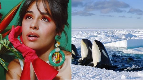 فيلم Frozen Planet