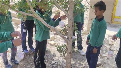 إحياء روح.. مبادرة أطلقها تلاميذ مدرسة بالأقصر بعد رؤيتهم لعصفور مات عطشًا