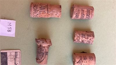 الانتهاء من تسجيل اكتشافات البعثة الأثرية بوادي الملوك | صور 