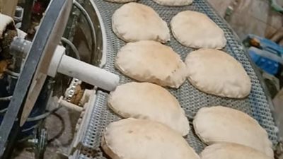 ضبط عدد من المخالفات في حملة تموينية بالدقهلية