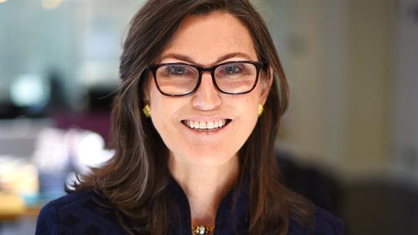 سيدة الأعمال الأمريكية