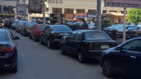 حملات فى شوارع الإسكندرية