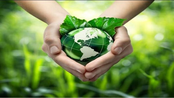 المبادرة الوطنية